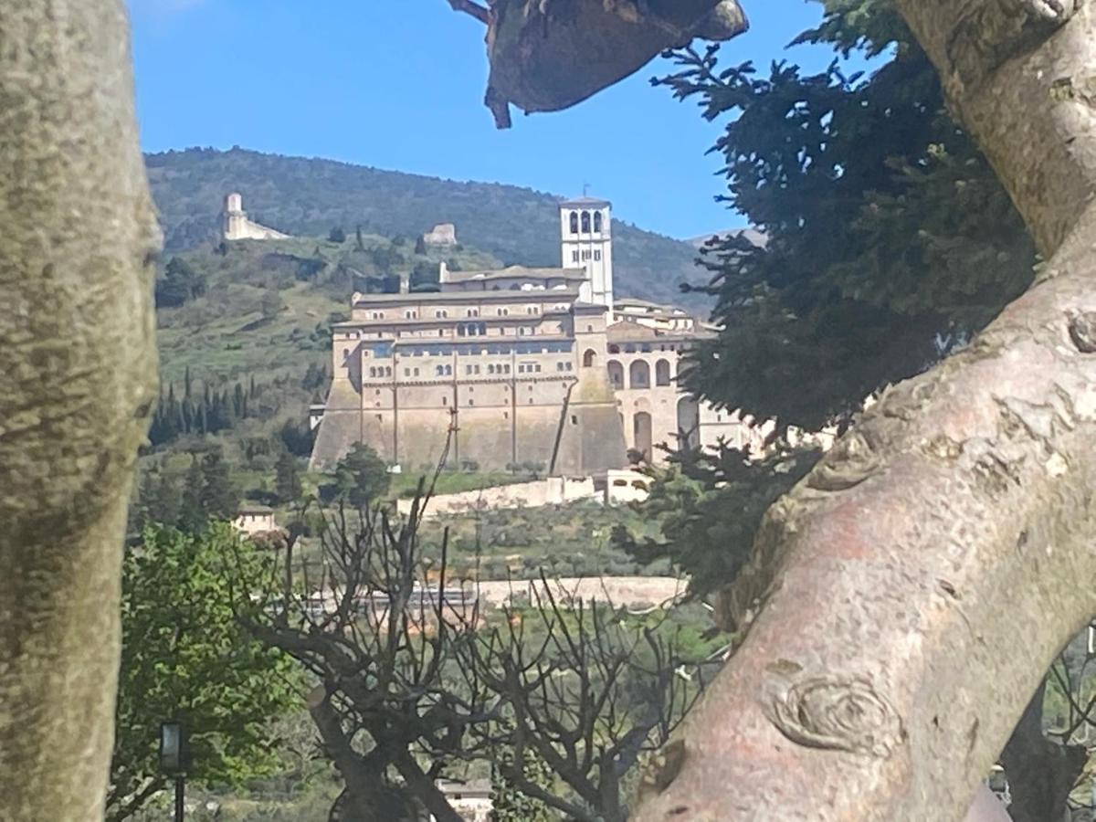 Agriturismo Il Girasole Assisi Exteriér fotografie