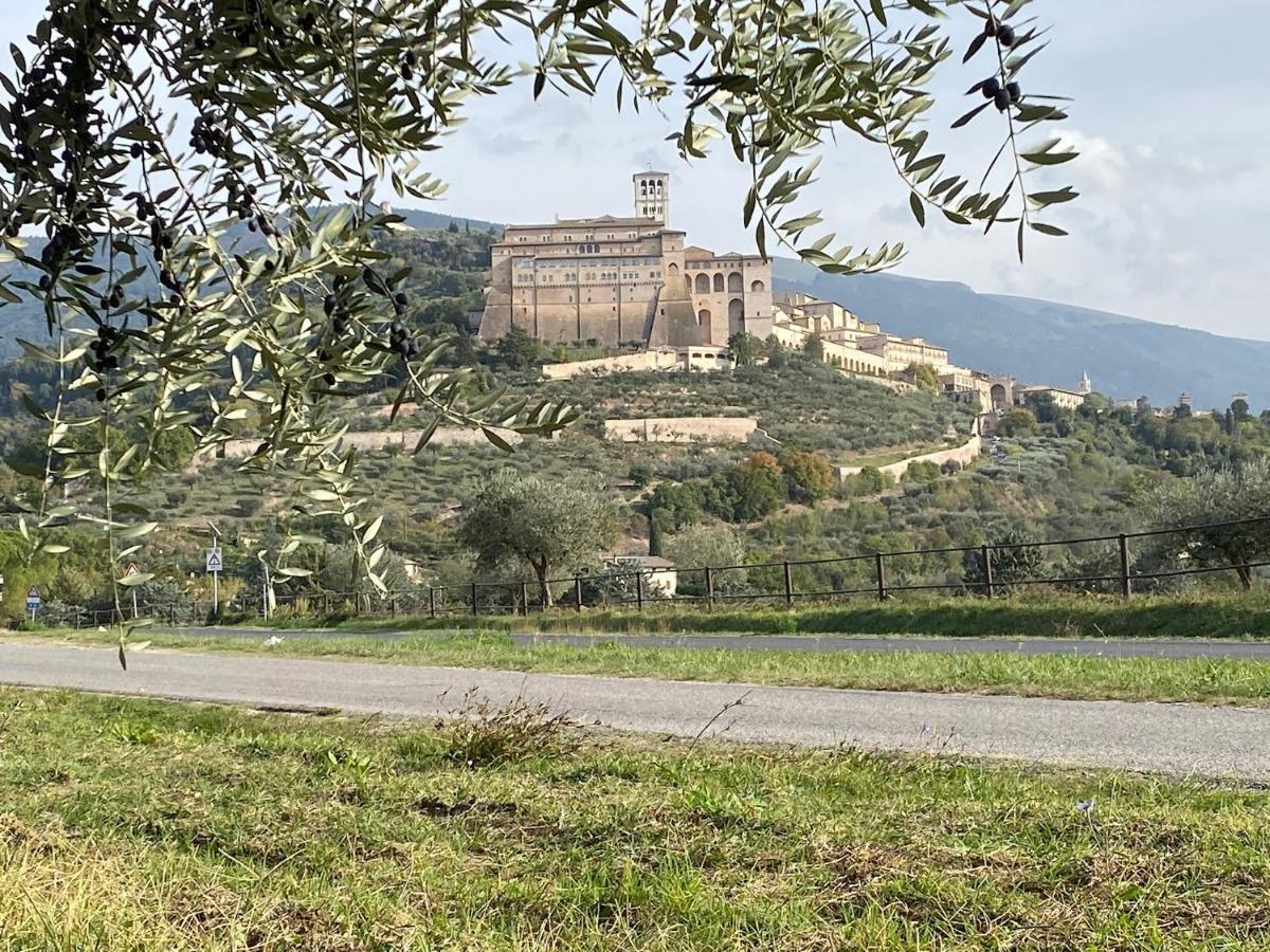 Agriturismo Il Girasole Assisi Exteriér fotografie