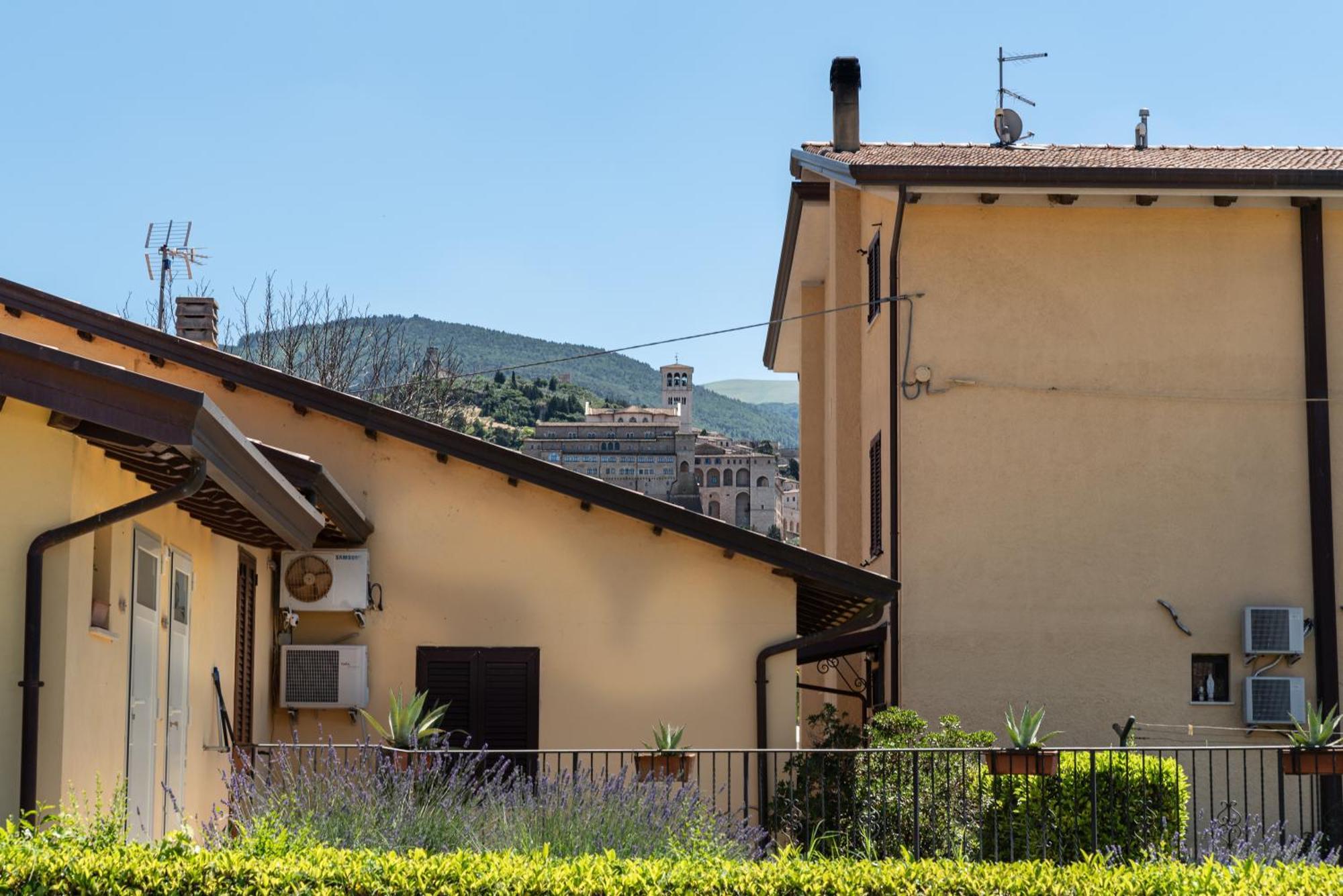 Agriturismo Il Girasole Assisi Exteriér fotografie