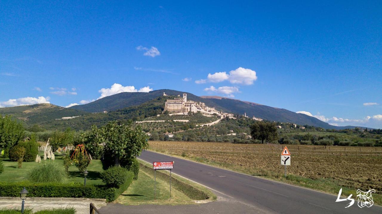 Agriturismo Il Girasole Assisi Exteriér fotografie