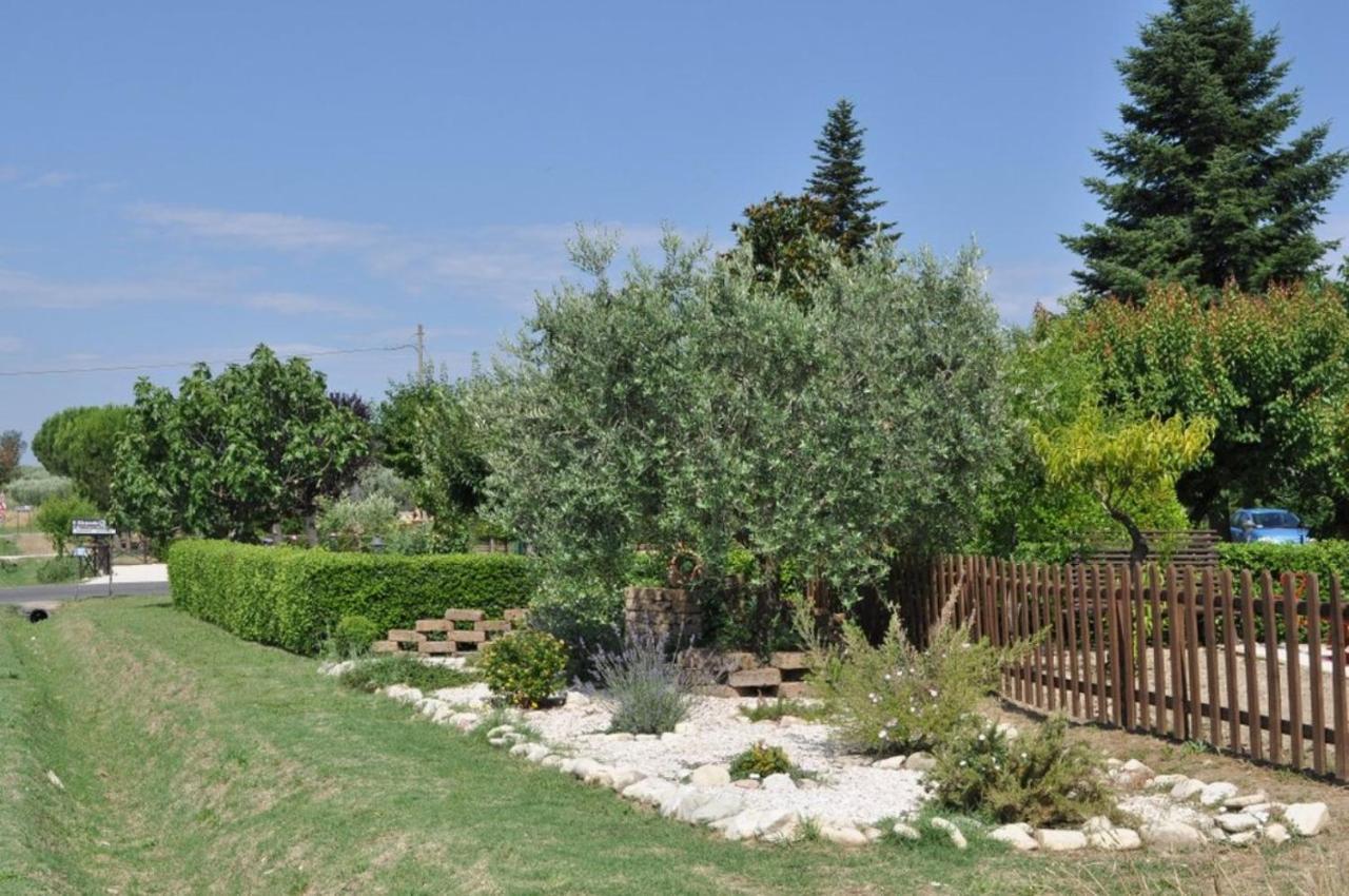 Agriturismo Il Girasole Assisi Exteriér fotografie